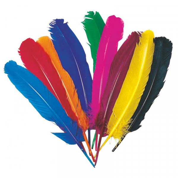 Plumes en Couleurs