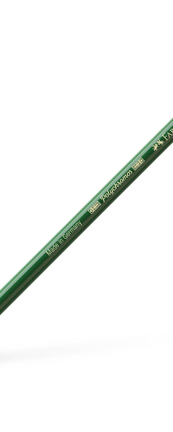 Crayon de couleur Polychromos - Permanent Green Olive - 167