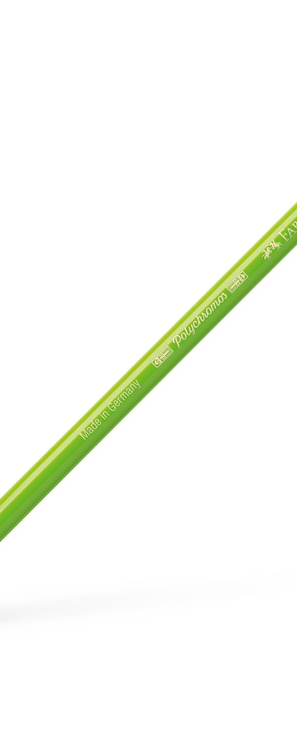 Crayon de couleur Polychromos - Light Green -171