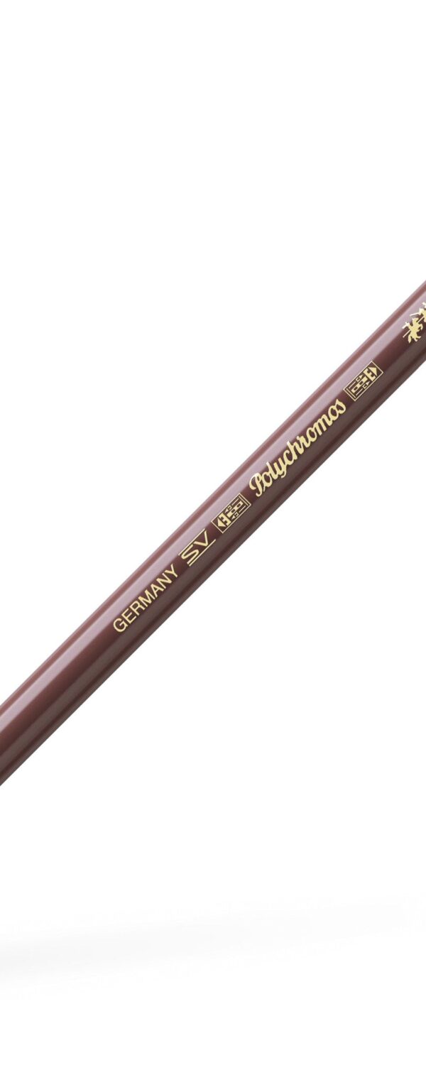 Crayon de couleur Polychromos - Van Dyck Brown - 176