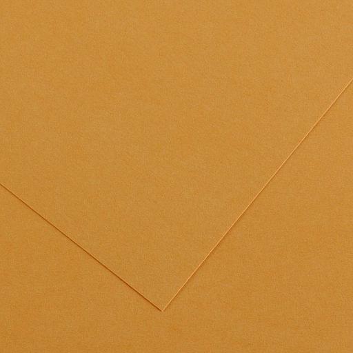 Papier Canson - Cuir