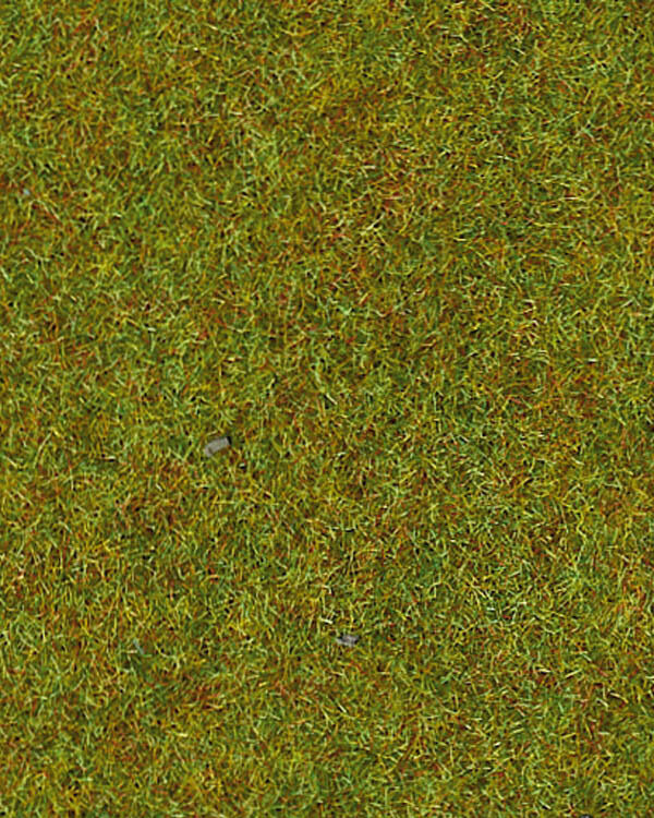 GAZON PIA VERT FONCE